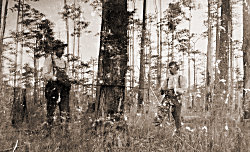 Photo of Edwin Slosson and George Welborn
