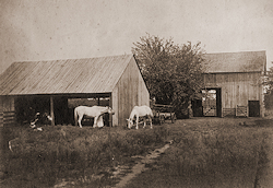 Photo of Slosson Barn