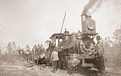 Photo of The Swift and Lyons log train