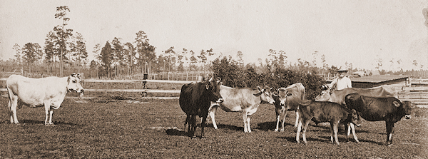 Photo of Olof J. Armstrong.