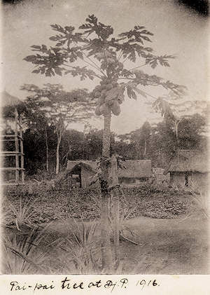 Photo of Congo Missionaries.