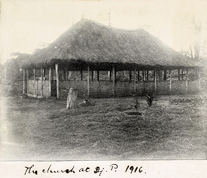 Congo Missionaries.