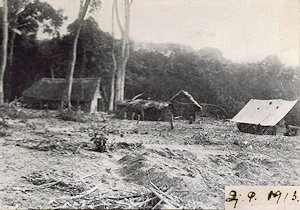 Congo Missionaries.