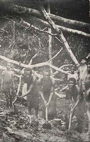 Congo Missionaries.