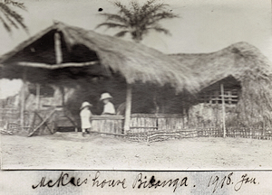 Congo Missionaries.