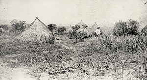 Congo Missionaries.