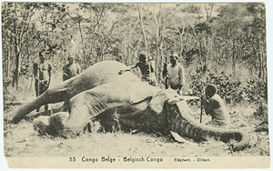 Photo of Congo Photo Album.