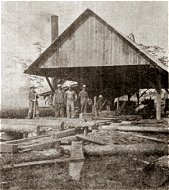 Photo of Silverhill sawmill.