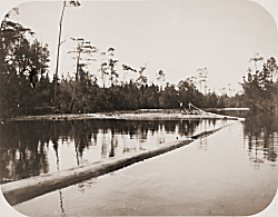 Photo of The Slosson Sawmill 1900