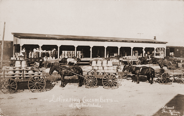 Photo of the Silverhill Train Depot in Robertsdale about 1915.